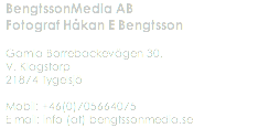 blocks_image